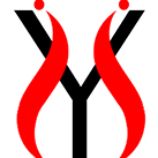 IYIvon Logo